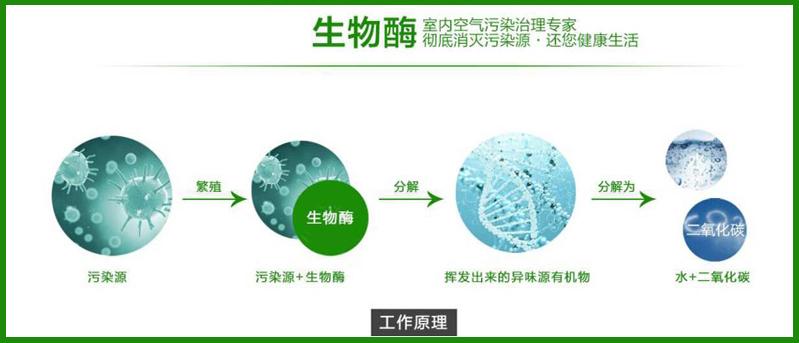 光觸媒、生物酶除甲醛產(chǎn)品介紹【佛山】 光觸媒、生物酶除甲醛【佛山】
